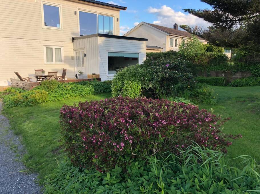 Lys Og Trivelig Leilighet I Larvik Esterno foto